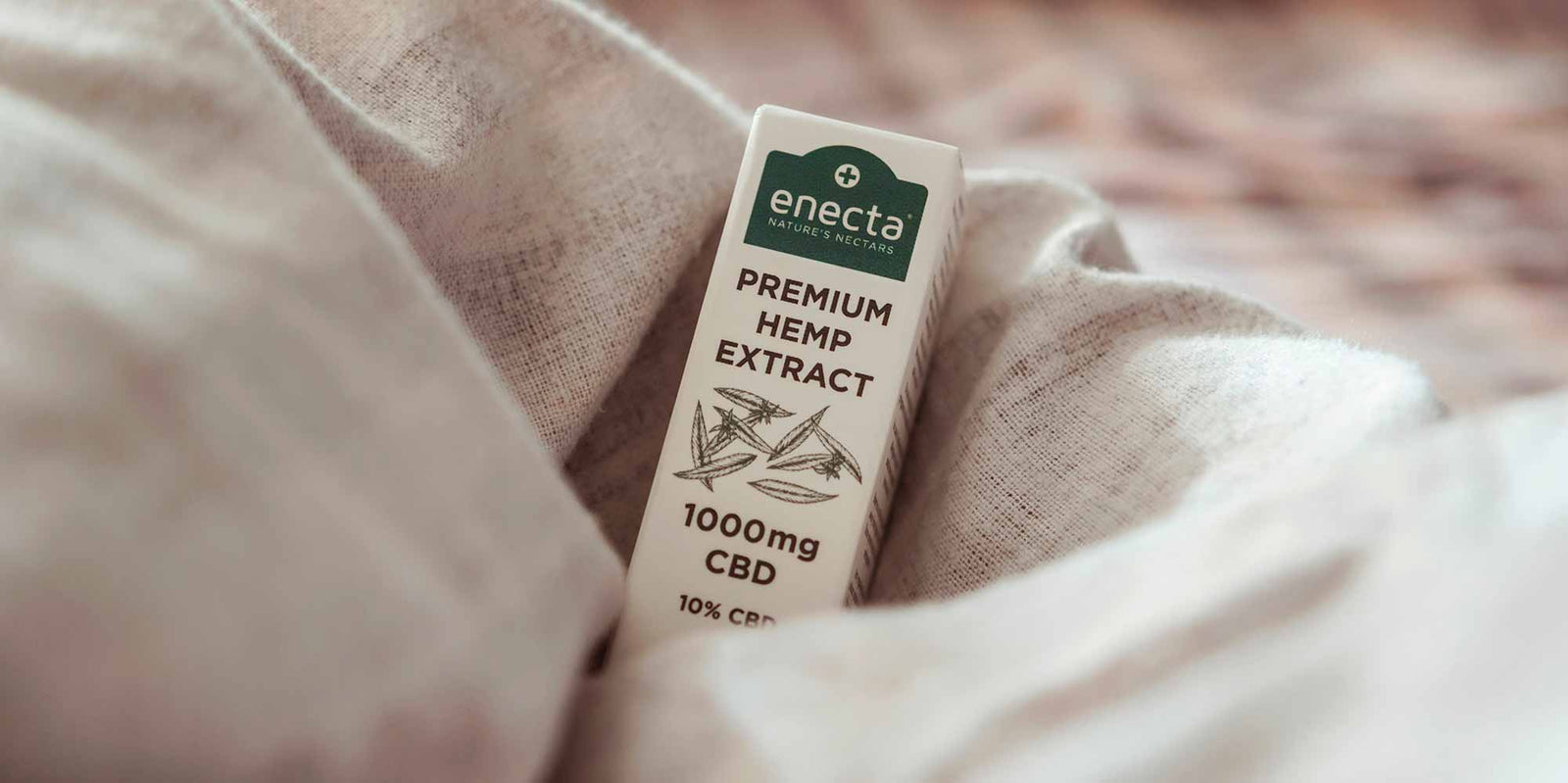 Glossary & Terminology